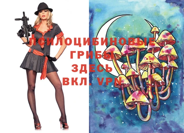 прущий лед Медвежьегорск