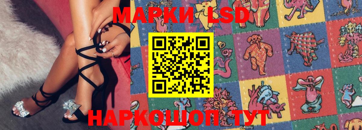 APVP Калининград