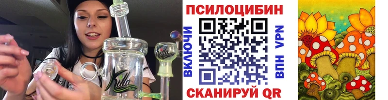 Галлюциногенные грибы мицелий где найти наркотики Калининград