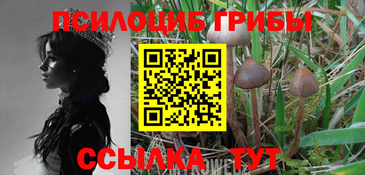 Галлюциногенные грибы MAGIC MUSHROOMS Калининград