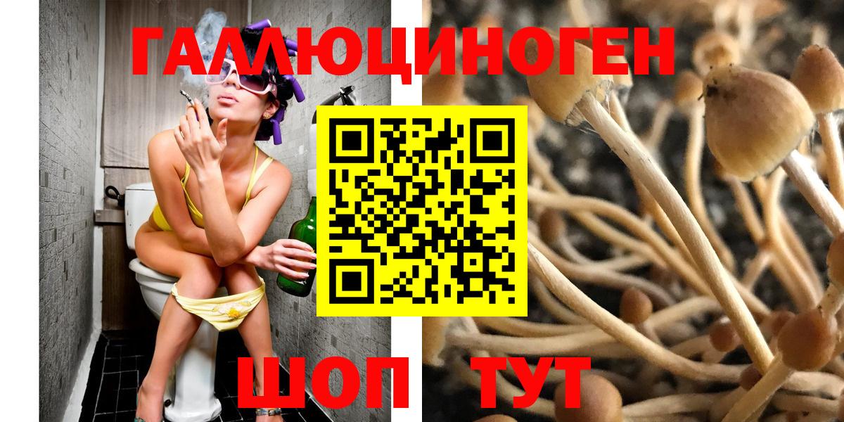 Галлюциногенные грибы мухоморы  Калининград  Псилоцибиновые грибы ЛСД 