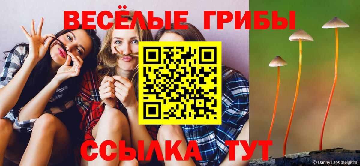 Галлюциногенные грибы Psilocybe  Вход с VPN  Калининград 